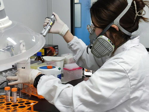 以點帶鏈 以鏈帶面 上海生物制品產業有序復工復產的路徑探索